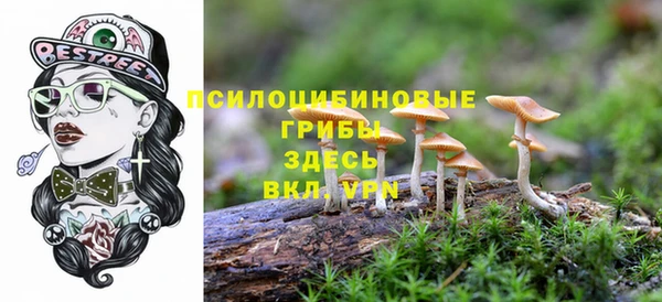 мдпв Семилуки