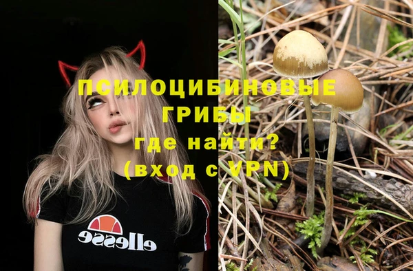 мдпв Семилуки