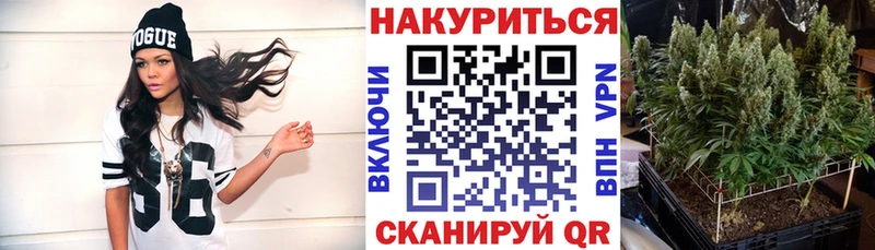 Шишки марихуана SATIVA & INDICA  hydra   Новоаннинский  купить наркотики сайты 